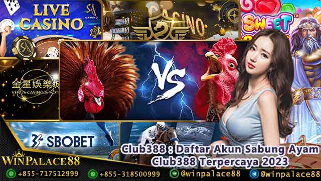 Club388 : Daftar Akun Sabung Ayam Club388 Terpercaya 2023 Club388 : Daftar Akun Sabung Ayam Club388 Terpercaya 2023